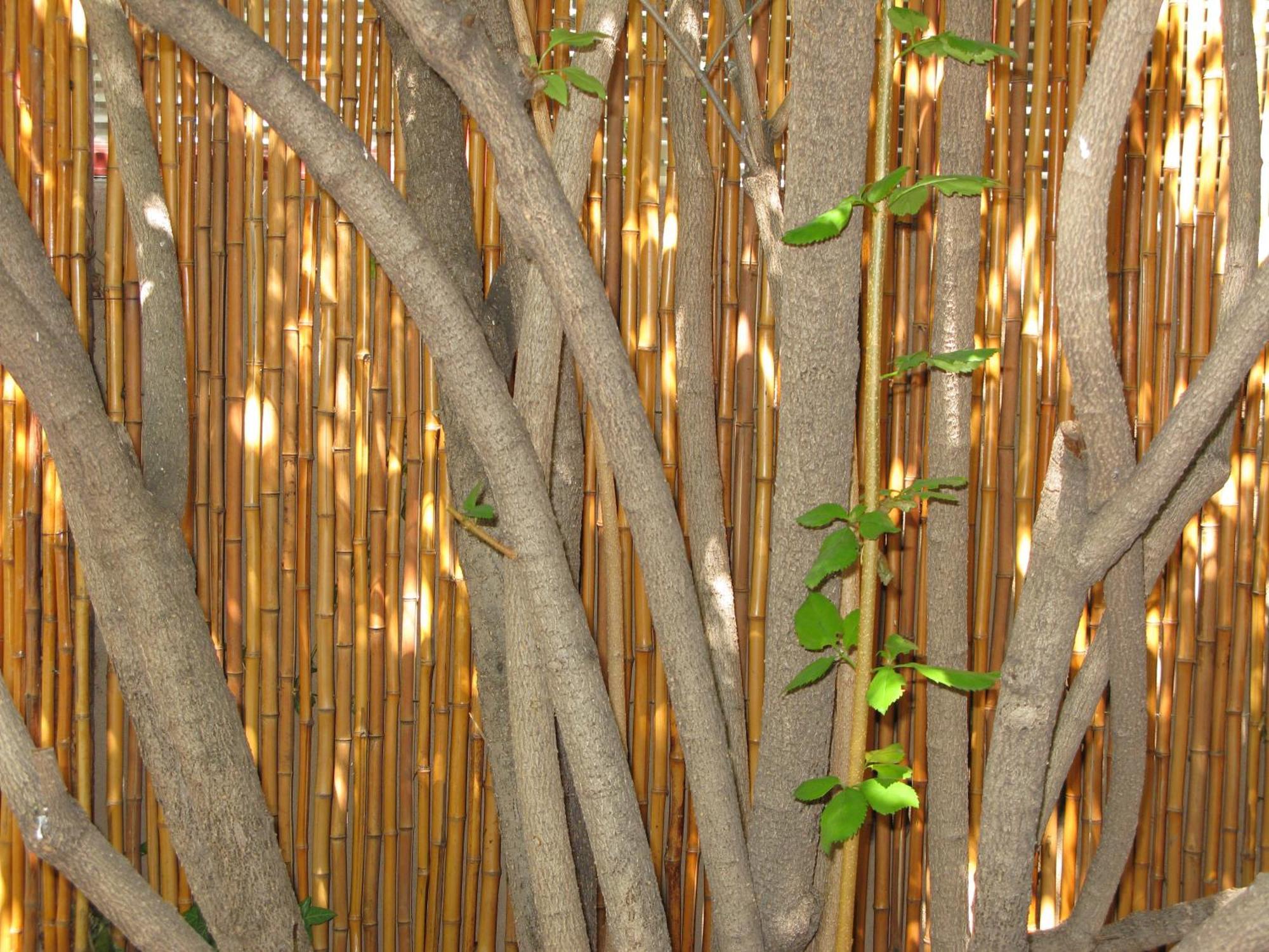 Casa De Tres Lunas/House Of Three Moons Santa Fe Esterno foto